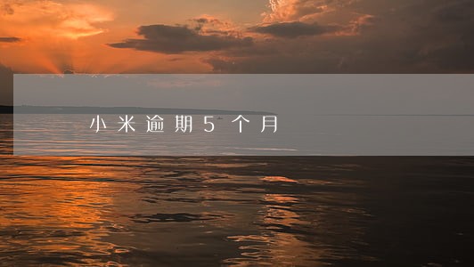 小米逾期5个月 小米逾期5个月