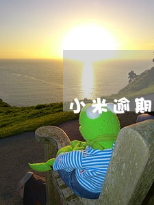 小米逾期5分钟 小米逾期5分钟