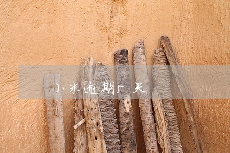 小米逾期5天 小米逾期5天