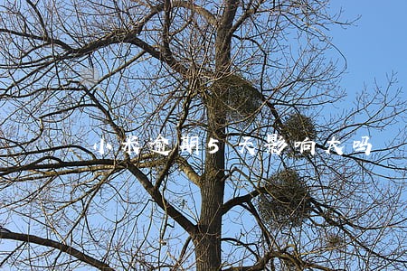 小米逾期5天影响大吗 小米逾期5天影响大吗