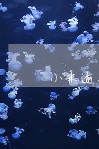 小米逾期6万