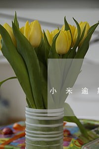 小米逾期6万会被拍卖房子吗 小米逾期6万会被拍卖房子吗