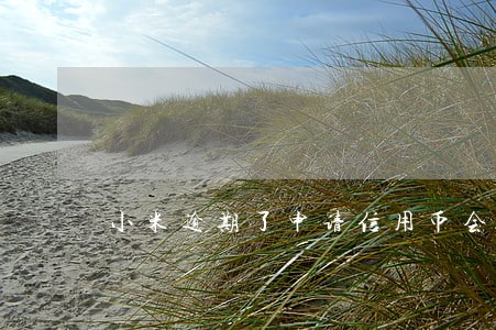 小米逾期了申请信用币会被拒么 小米逾期了申请信用币会被拒么