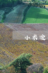 小米逾期超1天被关闭 小米逾期超1天被关闭