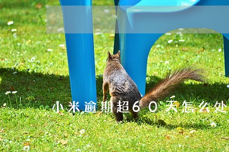 小米逾期超60天怎么处理