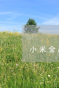 小米金融10号逾期 小米金融10号逾期