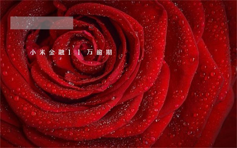 小米金融11万逾期 小米金融11万逾期