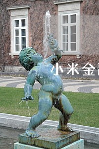 小米金融3200逾期第3天 小米金融3200逾期第3天