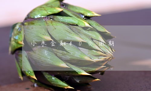 小米金融400逾期 小米金融400逾期