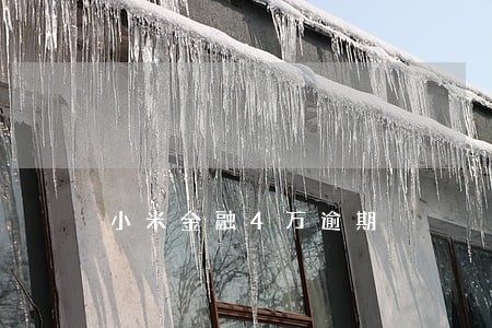 小米金融4万逾期 小米金融4万逾期