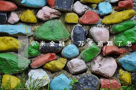 小米金融5万多逾期了怎么办 小米金融5万多逾期了怎么办