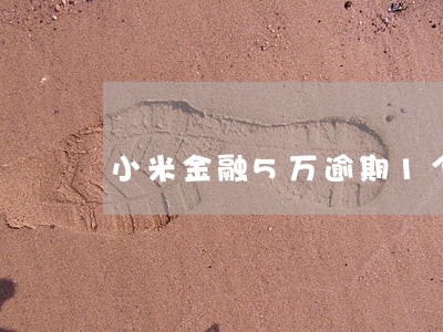 小米金融5万逾期1个月了 小米金融5万逾期1个月了