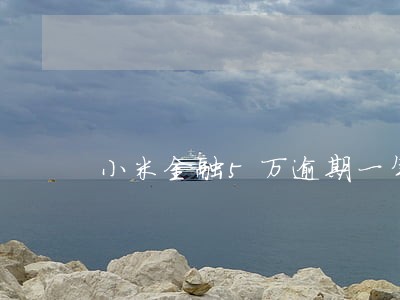 小米金融5万逾期一年多变6万多 小米金融5万逾期一年多变6万多