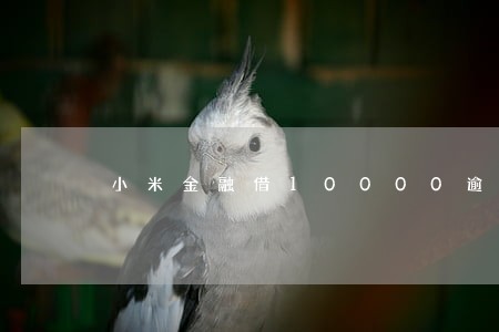 小米金融借10000逾期三年 小米金融借10000逾期三年
