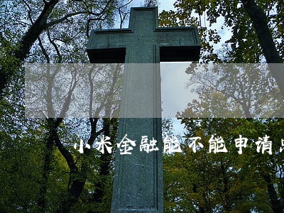 小米金融能不能申请只还本金 小米金融能不能申请只还本金
