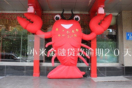 小米金融贷款逾期20天 小米金融贷款逾期20天