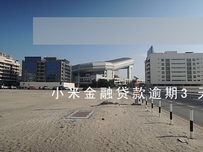 小米金融贷款逾期3天有 小米金融贷款逾期3天有