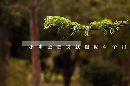 小米金融贷款逾期4个月 小米金融贷款逾期4个月
