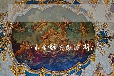 小米金融贷款逾期6万 小米金融贷款逾期6万