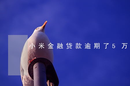 小米金融贷款逾期了5万 小米金融贷款逾期了5万