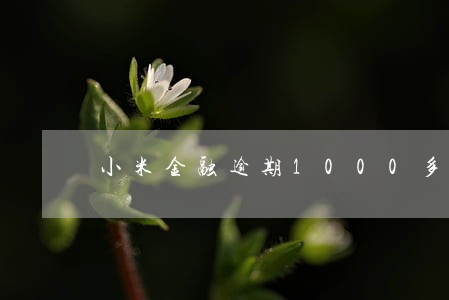 小米金融逾期1000多天 小米金融逾期1000多天