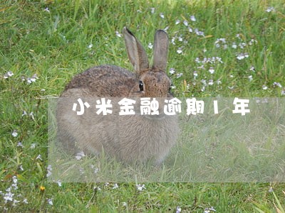 小米金融逾期1年 小米金融逾期1年