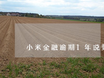 小米金融逾期1年说要上门 小米金融逾期1年说要上门