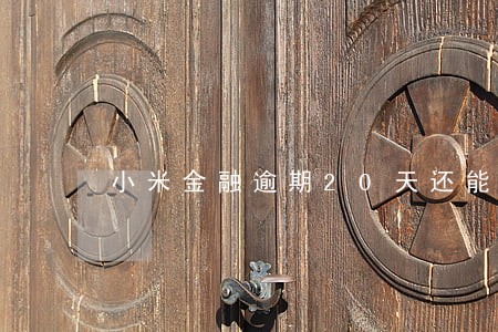 小米金融逾期20天还能用吗 小米金融逾期20天还能用吗