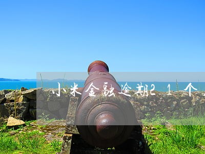 小米金融逾期21个月怎么协商