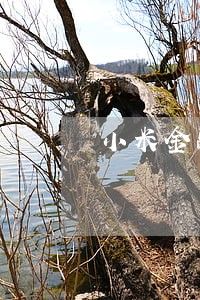 小米金融逾期2个月会上门 小米金融逾期2个月会上门