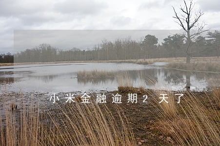 小米金融逾期2天了 小米金融逾期2天了