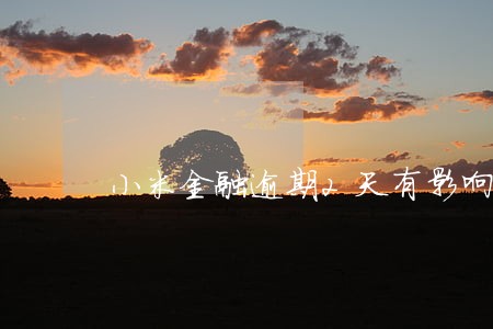 小米金融逾期2天有影响吗