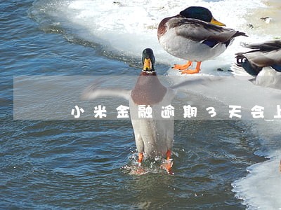 小米金融逾期3天会上征信吗 小米金融逾期3天会上征信吗