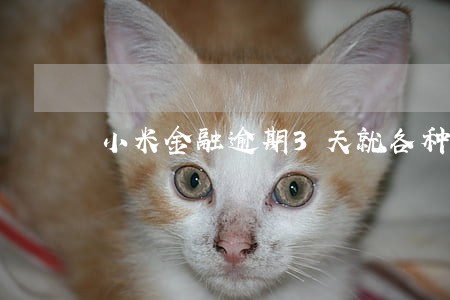 小米金融逾期3天就各种威胁 小米金融逾期3天就各种威胁