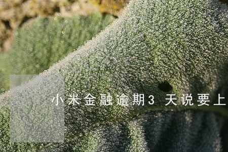 小米金融逾期3天说要上门催款 小米金融逾期3天说要上门催款