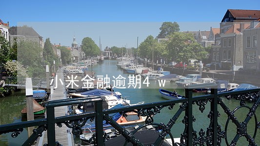 小米金融逾期4w 小米金融逾期4w