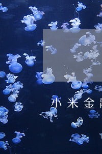 小米金融逾期4万 小米金融逾期4万