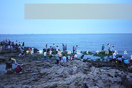 小米金融逾期4个月怎么办 小米金融逾期4个月怎么办