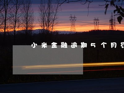小米金融逾期5个月罚息多少 小米金融逾期5个月罚息多少