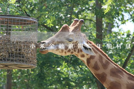 小米金融逾期二年加利息6万没还 小米金融逾期二年加利息6万没还
