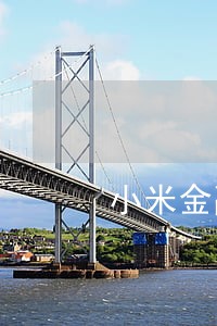 小米金融逾期收到银行短信 小米金融逾期收到银行短信