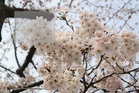 小米金融逾期说冻结银行卡 小米金融逾期说冻结银行卡