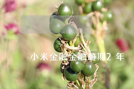 小米金融金融逾期2年