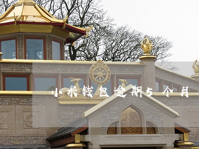 小米钱包逾期5个月 小米钱包逾期5个月