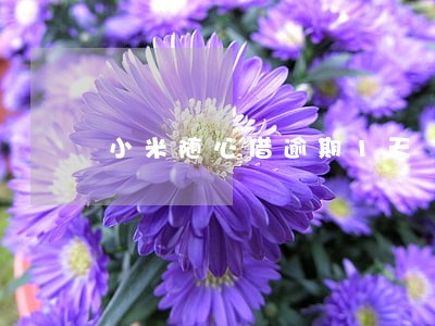 小米随心借逾期1天 小米随心借逾期1天