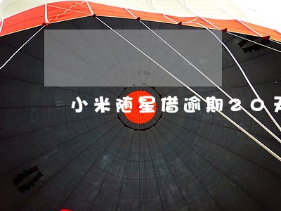 小米随星借逾期20天怎么办 小米随星借逾期20天怎么办