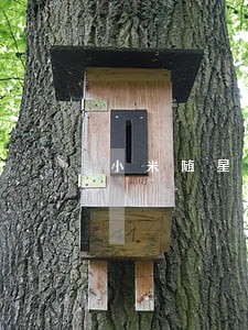 小米随星逾期2万会被告吗