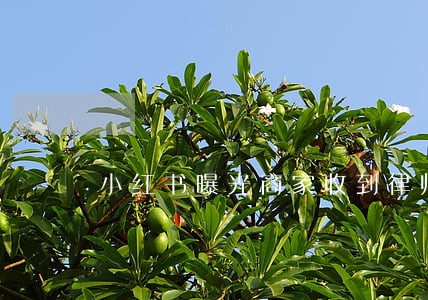 小红书曝光商家收到律师函 小红书曝光商家收到律师函