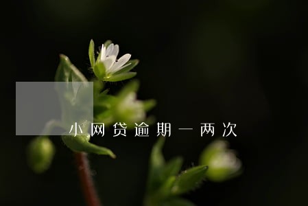 小网贷逾期一两次 小网贷逾期一两次
