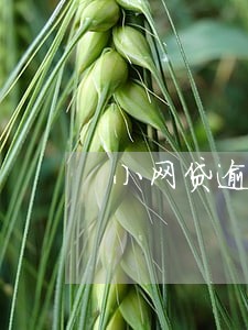 小网贷逾期会上门要吗 小网贷逾期会上门要吗